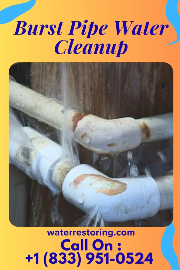 Burst Pipe Water Cleanup in Ghent, KY