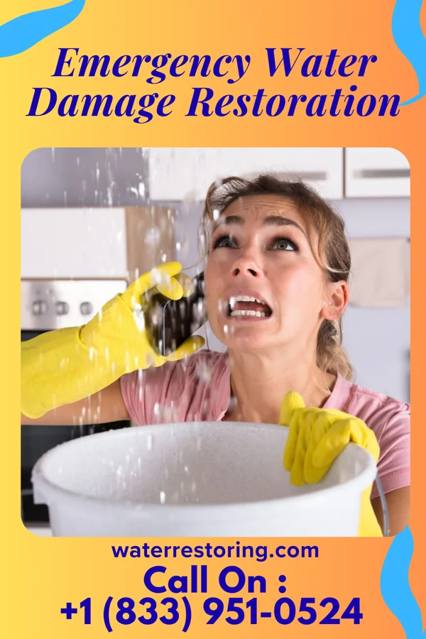 Emergency Water Damage Restoration in Ghent, KY
