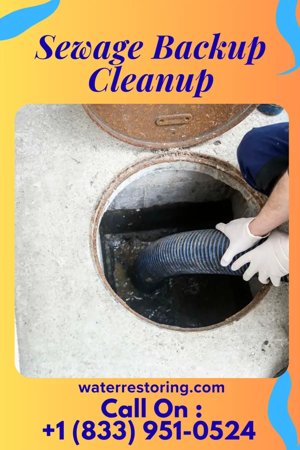 Sewage Backup Cleanup in Ghent, KY
