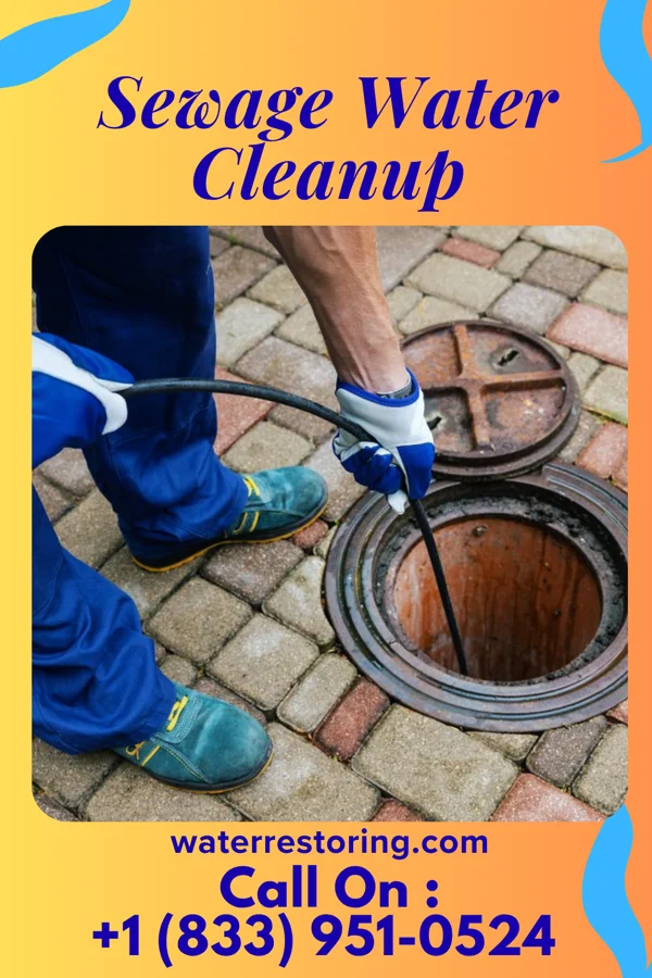 Sewage Water Cleanup in Ghent, KY