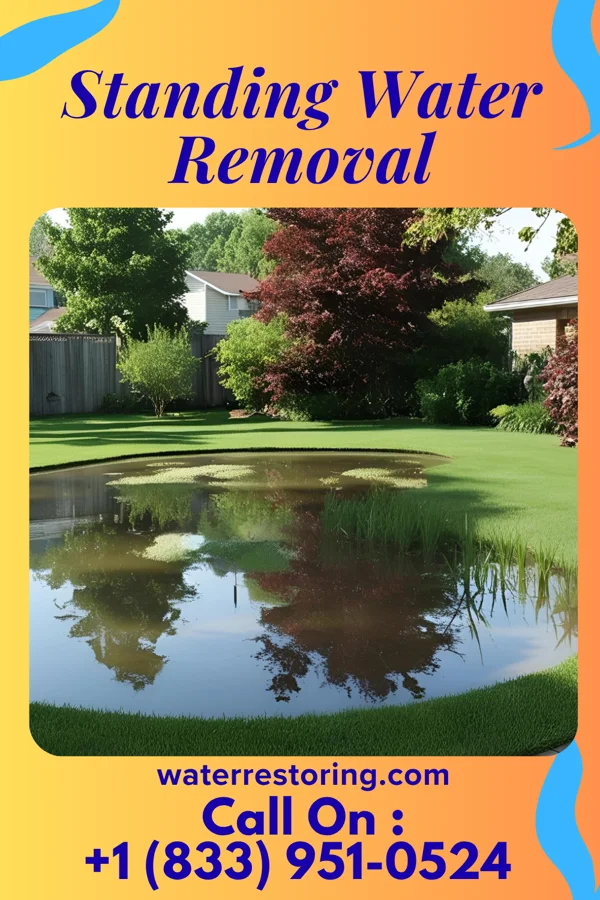 Standing Water Removal in Ghent, KY